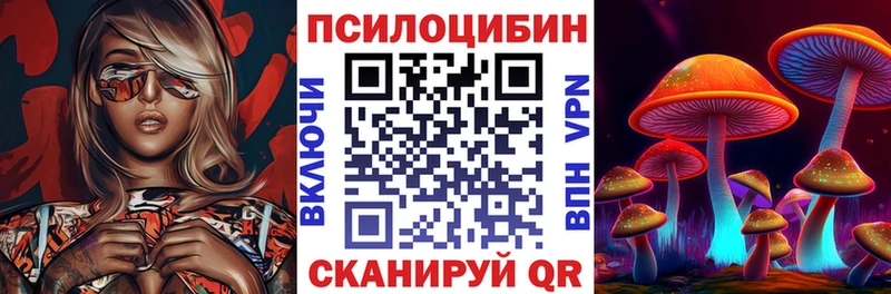 сколько стоит  Лагань  Псилоцибиновые грибы мицелий 